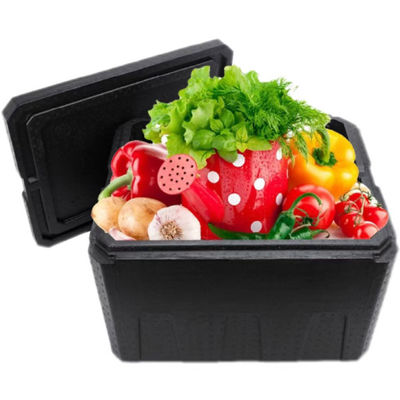 Thermal Insulation EPP Box Food Distribution Thermohauser Box