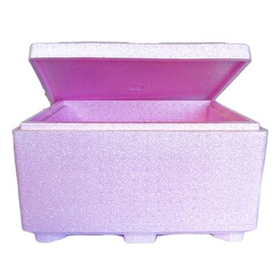Lightweight Non-Toxic Anti Mold Waterproof Logistic EPP Insulation Box