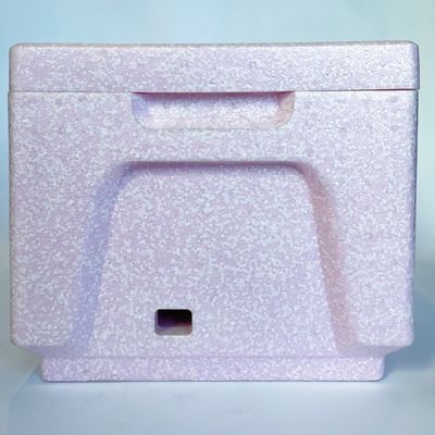 Lightweight Non-Toxic Anti Mold Waterproof Logistic EPP Insulation Box