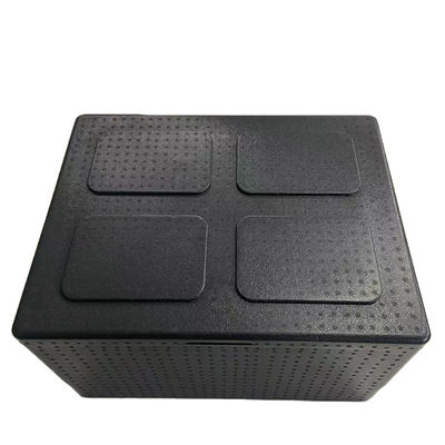 Versatile Superior Protection EPP Foam Cooler Packaging Box