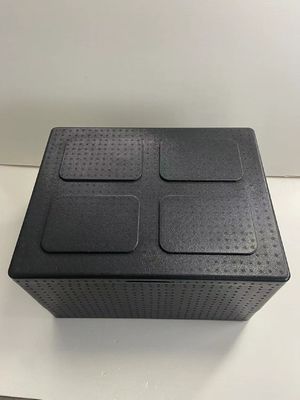 Eco Friendly Freeze Food EPP Boxes Insulated For Food Distribution