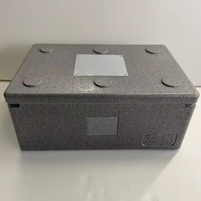 Eco Friendly Freeze Food EPP Boxes Insulated For Food Distribution