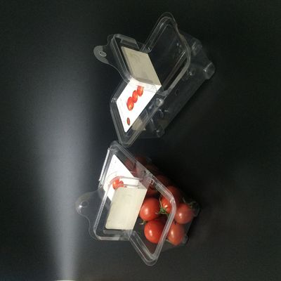 24*18*8cm Clear Disposable Fruit Packaging Plastic Boxes With Lids