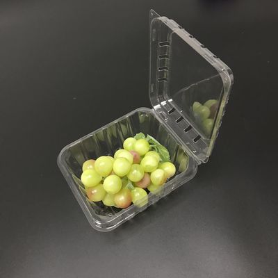 24*18*8cm Clear Disposable Fruit Packaging Plastic Boxes With Lids