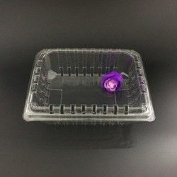 24*18*8cm Clear Disposable Fruit Packaging Plastic Boxes With Lids