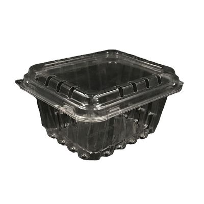 125g Blueberry Clamshell Plastic Packaging Boxes Impact Resistance