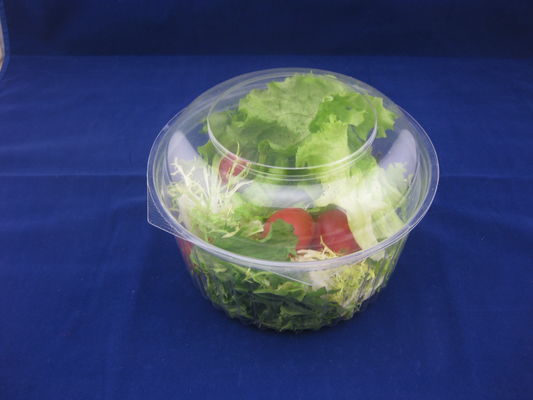 17oz OEM/ODM Clear Plastic Clamshell Packaging Disposable Salad Bowls