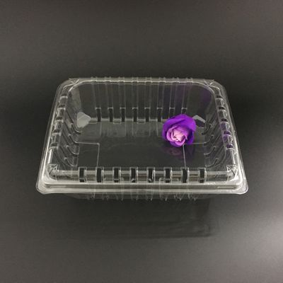PET Recyclable Clamshell Packaging Box Plastic ISO9001