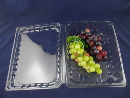 PET Recyclable Clamshell Packaging Box Plastic ISO9001