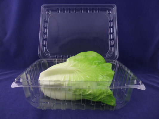 PET Recyclable Clamshell Packaging Box Plastic ISO9001