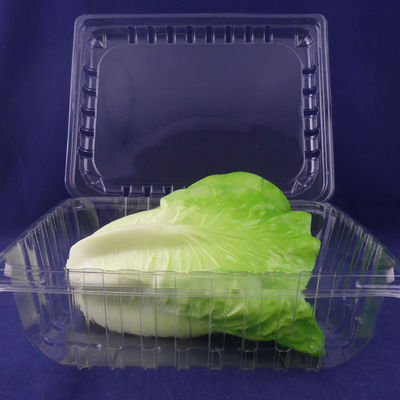 OEM/ODM Clamshell Package Plastic Packaging Boxes Food Grade