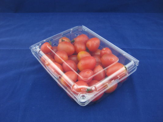 OEM/ODM Clamshell Package Plastic Packaging Boxes Food Grade
