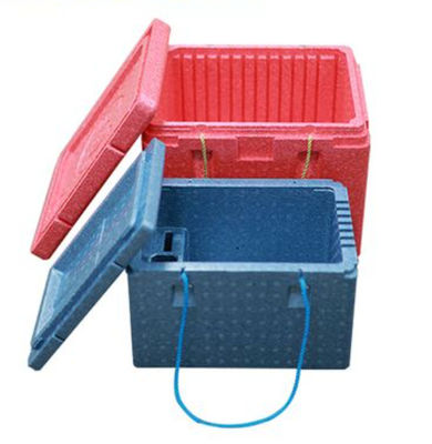 Hanwell Shock Absorbent Insulated EPP Foam Box Lightweight