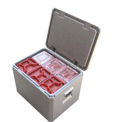 Versatile Superior Protection EPP Foam Cooler Packaging Box