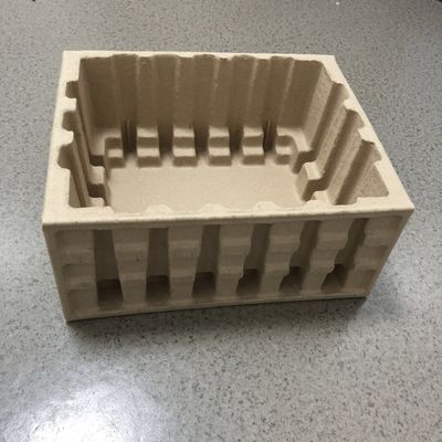 Hanwell Moulded Pulp Tray Packaging For Food Industrial