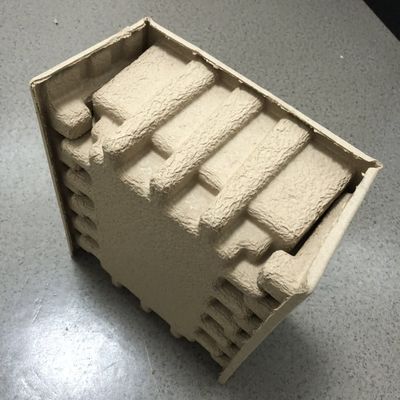 Hanwell Moulded Pulp Tray Packaging For Food Industrial