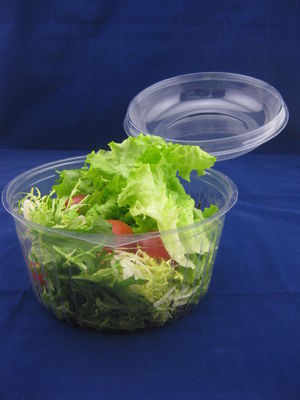 PET Eco-Friendly Fruits Packing Plastic Box 24oz Salad Bowl With Lid