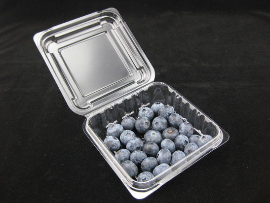 125g Blueberry Clamshell Plastic Packaging Boxes Impact Resistance