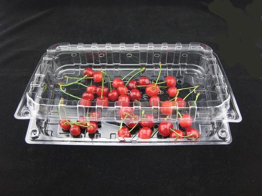 Eco Friendly Disposable Clear Plastic Blister Plastic Packaging Boxes 500g